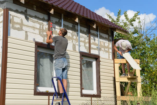 Best Steel Siding Installation  in Millport, AL