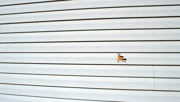 Best Stucco Siding  in Millport, AL