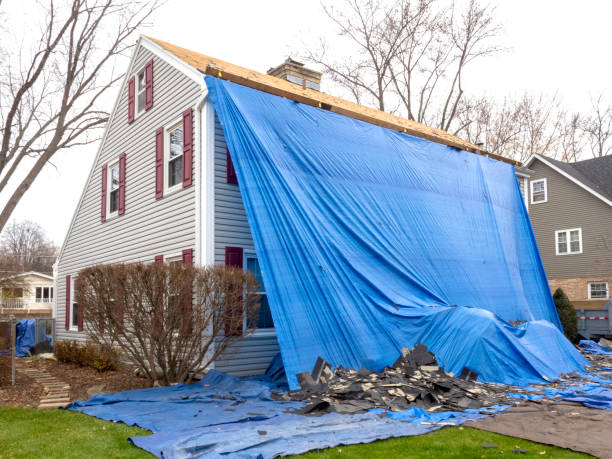 Affordable siding repair and maintenance services in Millport, AL