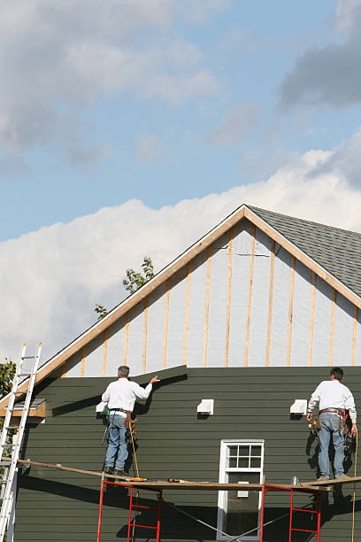 Best Residential Vinyl Siding Installation  in Millport, AL