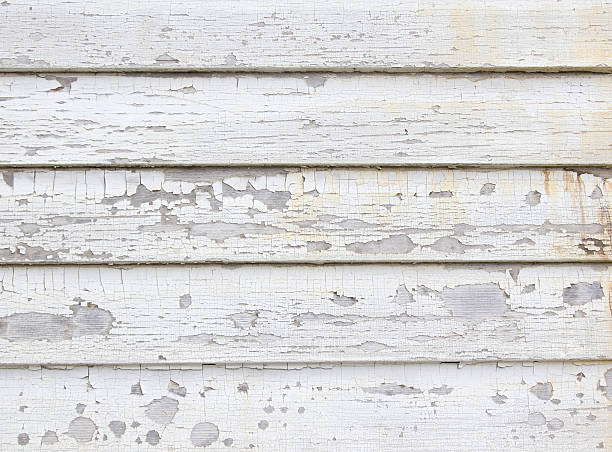 Best Siding Repair  in Millport, AL