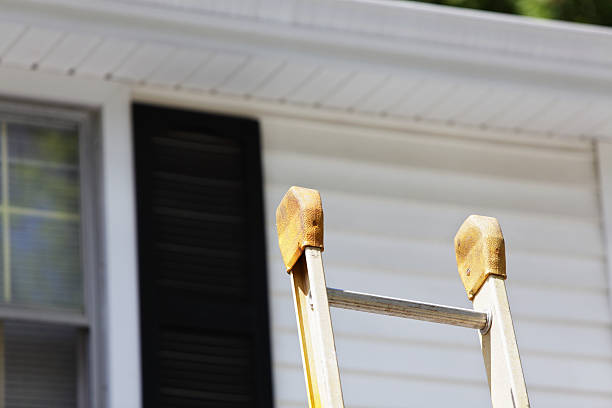 Best Siding Removal and Disposal  in Millport, AL
