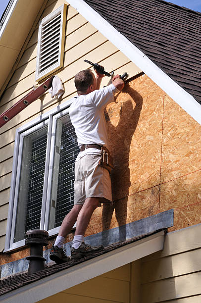 Best Aluminum Siding Installation  in Millport, AL